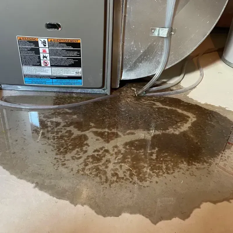 Appliance Leak Cleanup in Solon, IA